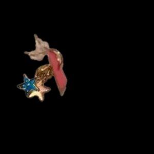 Nordstrom Star Charm Earrings